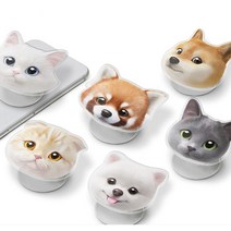 반려동물 고양이 강아지 다양한 디자인 스마트 톡, 3 스코티쉬폴드- 아치