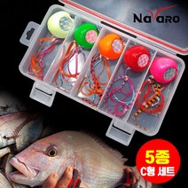 유동식 타이라바 C형 5종세트 헤드+스커트+훅+태클박스 참돔 낚시, C타입_5종세트:100g