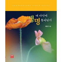내 사진에 생명 불어넣기, 배다리