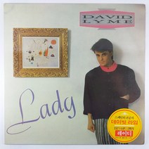 (중고LP) DAVID LYME . LADY 1989년 발매 라이센스 (자켓 최상. 음반 미사용 상태 최상. 가사지 있음)