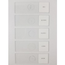 [유앤아이사이언스] 영구프레파라트 5종1조, 기본