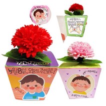 [바보사랑] 우리가족 카네이션 메시지 화분, 종류선택:메세지화분(인쇄), 상세 설명 참조
