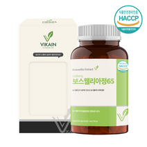 관절 연골 보스웰리아 분말 가루 정 알약 보스웰릭산 함량 65% 테르페노이드 무릎 관절 연골 뼈 효능 추천 먹는법, 1개, 120정