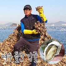 여수 돌산 굴 각굴 5kg 10kg 당일수확 껍질굴 크기혼합, 돌산 각굴 10kg