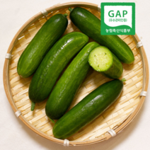 [산지직송] 충북 음성 스낵오이 1kg 미니오이 등산용, 1개