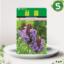 솔림텃밭몰 꿀풀씨앗 1000립 꿀풀 꽃씨앗 꽃씨 야생화