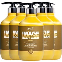 위스티 이미지 향기 좋은 등드름 완화 바디워시 아라로즈 500ml, 5개
