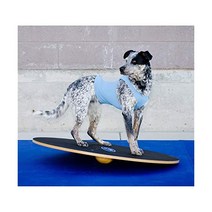 FitPAWS 핏포즈 도그 트레이닝 워블 보드 20인치