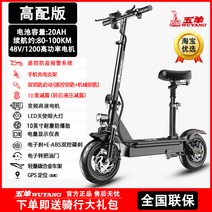 대리기사용 휴대용 접이식 좌식 앉아서타는 킥보드 듀얼바퀴큰 전기 퀵보드 출퇴근용, 48V, I 48V/80-100KM/1200 고출력 모터