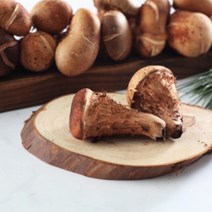차방차방 푸드 건강차 모음 참송이솔향차 산조인대추차 새싹보리맥근차 엿기름차 귀리새싹차 호밀새싹차 화살나무차 레드비트차 병풀차 구아바차 바나바차 케모마일차 신선초차, 케모마일차1봉지, 1개