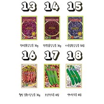 적피얼룩 강낭콩씨앗50립 KS종묘 연한 적색무늬의 수량많은 비덩굴 강낭콩, 1개