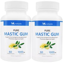 [미국번개배송] 착한명품 마이라이프 내추럴스 매스틱검 1000mg 60정 2병