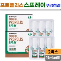 프로폴리스추출물 자일리톨 멘톨함유 구강 악취제거 프라그제거 스프레이형 식약처인증