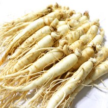 국산 가정용 싱싱한 인삼 세척 원삼 15-20편(600g)