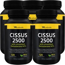 마이라이프 시서스 2500 크롬과 케토스테론 40%, 120정, 5병