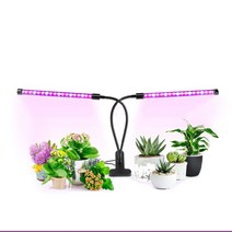 점프팜 LED식물등 크로톤키우기 미니다육이 새싹채소, 본상품선택