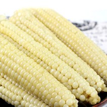 [생산자직송] 무주 대학찰옥수수 12개(4팩), 단품
