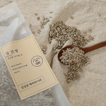 [건건당] 오늘은 해바라기씨 500g