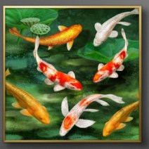 돈들어오는 잉어그림 황금 비단 풍수 50G RF4, 상세페이지 참조