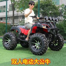 사발이오토바이 4발오토바이 전기 큰 ATV 4 륜 오프로드 산악 오토바이 샤프트 드라이브 더블 전기 카트, 전기불 10인치 60v1500w