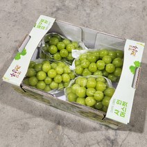 오늘의경매 고당도 샤인머스켓 망고포도 프리미엄제품, 품질보장 4kg 특 선물용 (4~5수)
