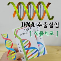 실험 상자 과학 키트 식물세포 DNA 추출법 10인용 과학키트/과학실험/과학상자/과학실험도구/과학실험키트초등과학실험키트/학습교구/교구/과학교구/과학놀이, 단일 수량