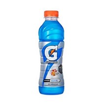 게토레이 블루볼트 펫, 500ml, 24개입