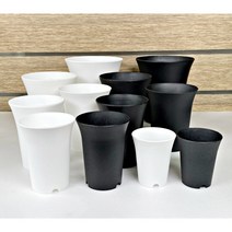 다육맘 원형 롱플라스틱화분(하월시아플분), 화이트