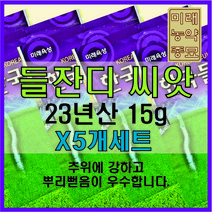 [23년산 국내생산] 미래종묘 한국 들잔디 15g (X5개세트)- 착근력 우수 산소용 골프장용 전원용, 5개