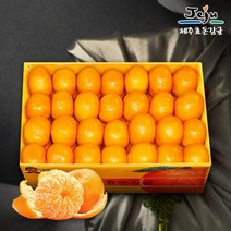 [보섭이네푸드]가락시장 직송 제주효돈감귤 5kg(47∼60입내 M)