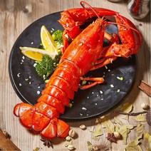 [식품의전당] 자숙 냉동 랍스터 캐나다 랍스타 바닷가재 밀키트 선물세트 특대 구이용 1미 2미 4마리 몸통 red lobster, 1_100%자연산 자숙랍스터 1마리