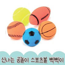 강아지 스포츠볼 럭비공 축구공 농구공 세트 5개 애견용품 도기볼 분리불안 개공