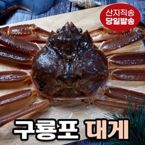 [당일발송] 영덕대게 생물 자숙 포항 구룡포 국내산, 4.영덕대게 소 (9.1~9.5cm) 5미