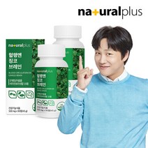 내츄럴플러스 혈행앤 징코 브레인 90정 2박스(6개월분) / 기억력 혈행개선 은행잎추출물, 선택완료, 단품없음