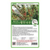 앵두나무씨앗 50g 나무씨앗