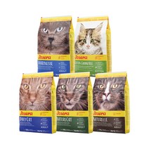 요세라 캣 그레인프리 고양이사료 모음 2kg/4.25kg/10kg, 2kg, 네이처캣 연어&오리