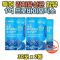 식약처 인증 프로바이오 특허 김치유산균19 2통 락토바실러스플란타럼 살아있는 생 유산균