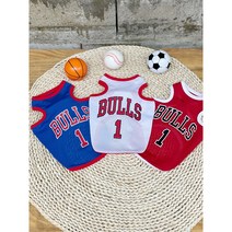 뚠뚜난나 불스 조던 농구 매쉬 민소매티 여름철 강아지옷 (S - 2XL 3XL), 블루