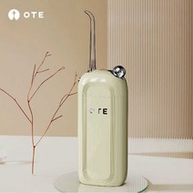 물양치 가정용 치아새척 치아세정기 구강 무선 칫솔, 기본제품
