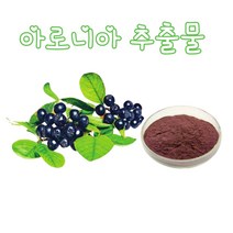 소율 아로니아 농축 추출물 파우더 건강분말, 10:1, 1봉, 1000g