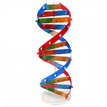 상아사이언스 DNA 이중나선모형 만들기(1인) (ICE), 상세페이지 참조