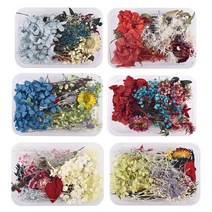 1 상자 여러 가지 빛깔의 말린 꽃 무작위 수지 충전 에폭시 UV 필러 DIY 보석 만들기 수제 공예, 01 random 1 pack