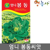 엄니 봄동 씨앗 20g, 엄니봄동배추, 1개