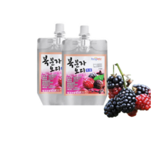 웰빙푸드 국내산 복분자 오디 생즙 생으로 갈아 만든 저온 살균 건강즙 (110ml X 30팩), 복분자 오디생즙 110ml X 30팩