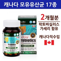 식약처인증 l2b1 유산균 스마일린 락토바실러스 가세리 17종 분말 가루 캡슐 장용성 람노서스 애시도필러스 포스트 프로 프리 신 바이오틱스 마이크로바이옴 코팅 예민한 둔감한 장, 1병