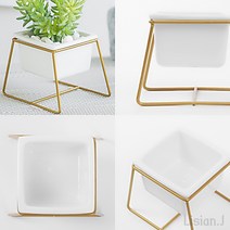 리시안제이 다육이 선인장 스투키 화분 도자기 골드 공화분 도기화분