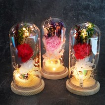 잇츠마이플라워 어버이날 프리저브드 카네이션 무드등 부모님 스승의날 선생님 선물, 핑크