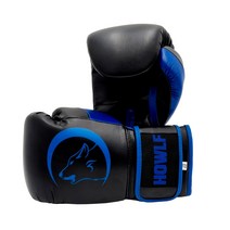 하울프 아레스 복싱글러브 / 권투 킥복싱 무에타이, 블랙/블루
