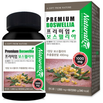 관절 연골 보스웰리아 캡슐 가루 원물 덩어리 인도산100% 관절영양제 보스웰리아효능 보스웰리아효과 비타민D 저분자피쉬콜라겐 아연 상어연골분말 히알루론산 삼키는보스웰리아 해조칼슘, 180정, 60정 x 3병 (6개월분), 1000mg