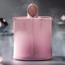 가정용 나혼자 1인용 접이식 이동식 건식 습식 스팀 사우나 기계 싸우나 찜질기 사우나기, 그린 리모콘포함